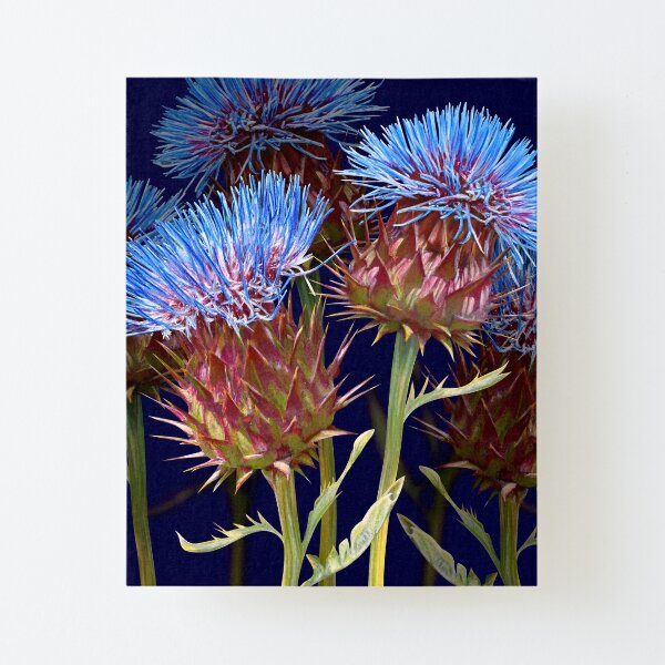 Scottish Thistle Canvas Mounted Print