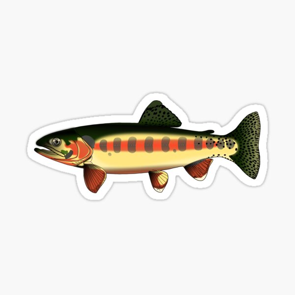 Vista previa del artículo con la obra «Pescado del estado de la trucha dorada de California», diseñado y vendido por downbubble17.