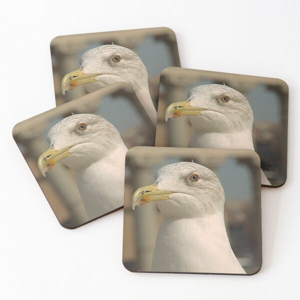 Item preview, gull designed and sold by Babbler01.