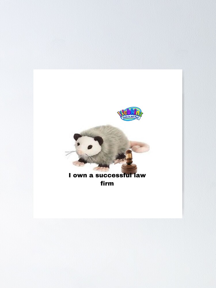 Opossum webkinz hot sale