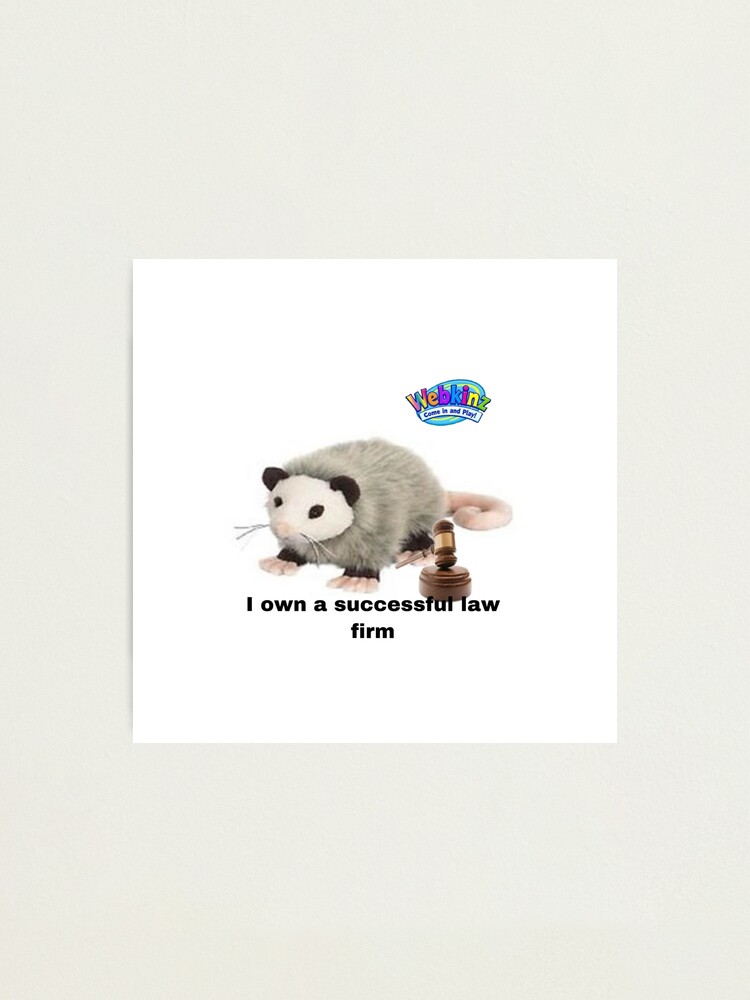 Webkinz possum law firm Photographic Print for Sale by dyslsexyia Redbubble