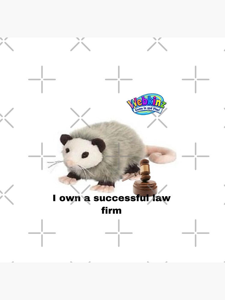 Opossum webkinz hot sale