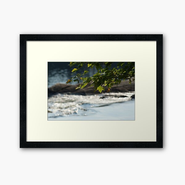 Tree over Waterfall Framed Art Print