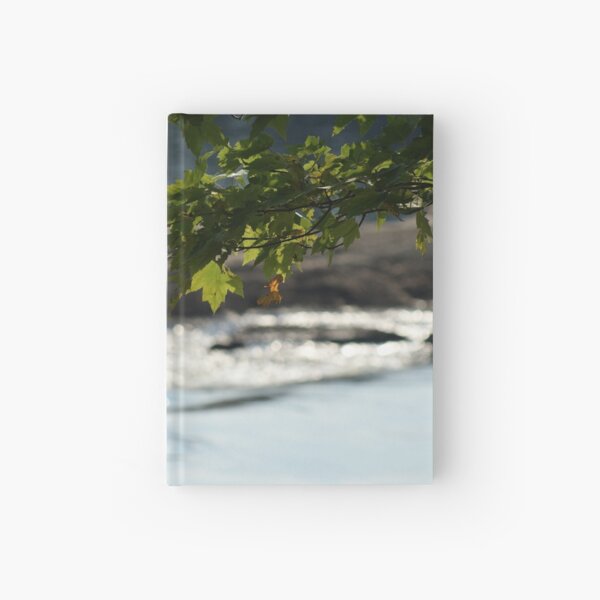 Tree over Waterfall Hardcover Journal