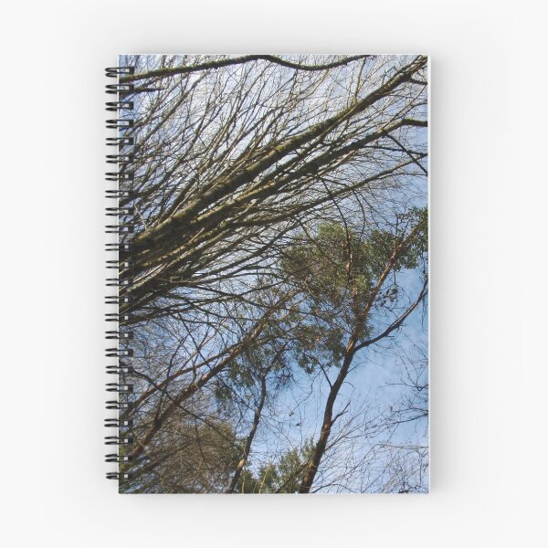 Item preview, Sun-kissed Branches designed and sold by Jaeda DeWalt.