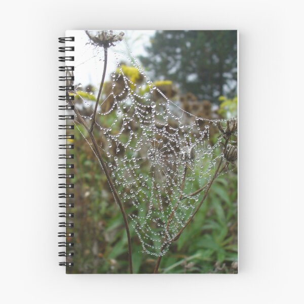 Item preview, Web Droplets designed and sold by KaSaPo.