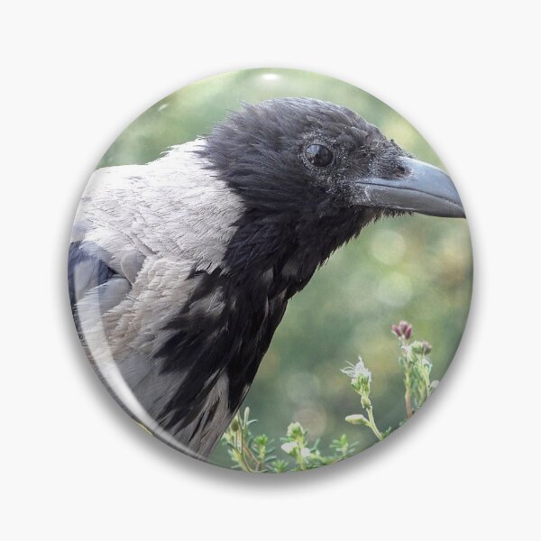 Item preview, Hooded crow designed and sold by Babbler01.