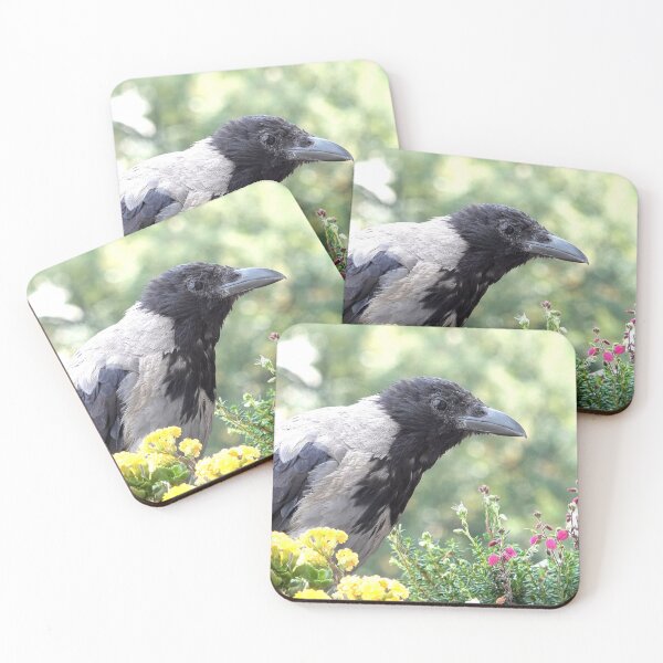 Item preview, Hooded crow designed and sold by Babbler01.