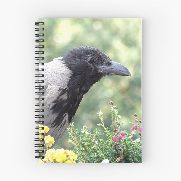 Item preview, Hooded crow designed and sold by Babbler01.