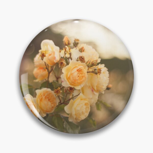 Item preview, Yellow roses - Floral photography - A rosebush with yellow roses designed and sold by ninasclicks.
