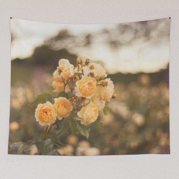 Item preview, Yellow roses - Floral photography - A rosebush with yellow roses designed and sold by ninasclicks.