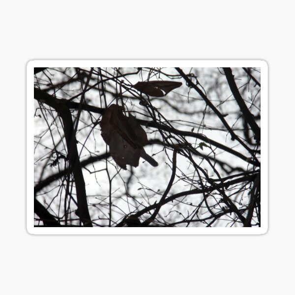 Clinging to what is already gone Sticker