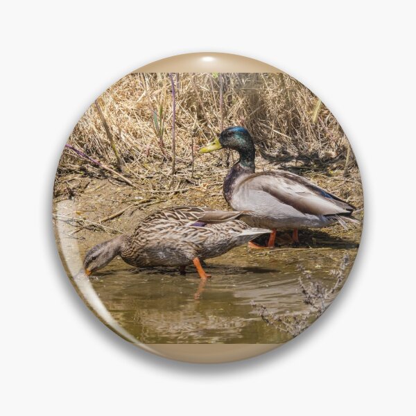 Item preview, Mr. and Mrs. Mallard designed and sold by CarolM.