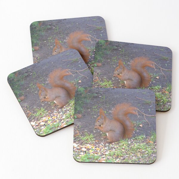 Item preview, Squirrel designed and sold by Babbler01.