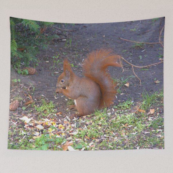 Item preview, Squirrel designed and sold by Babbler01.