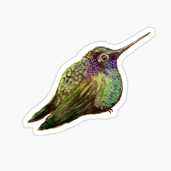 Hummingbird in Watercolor Sticker
