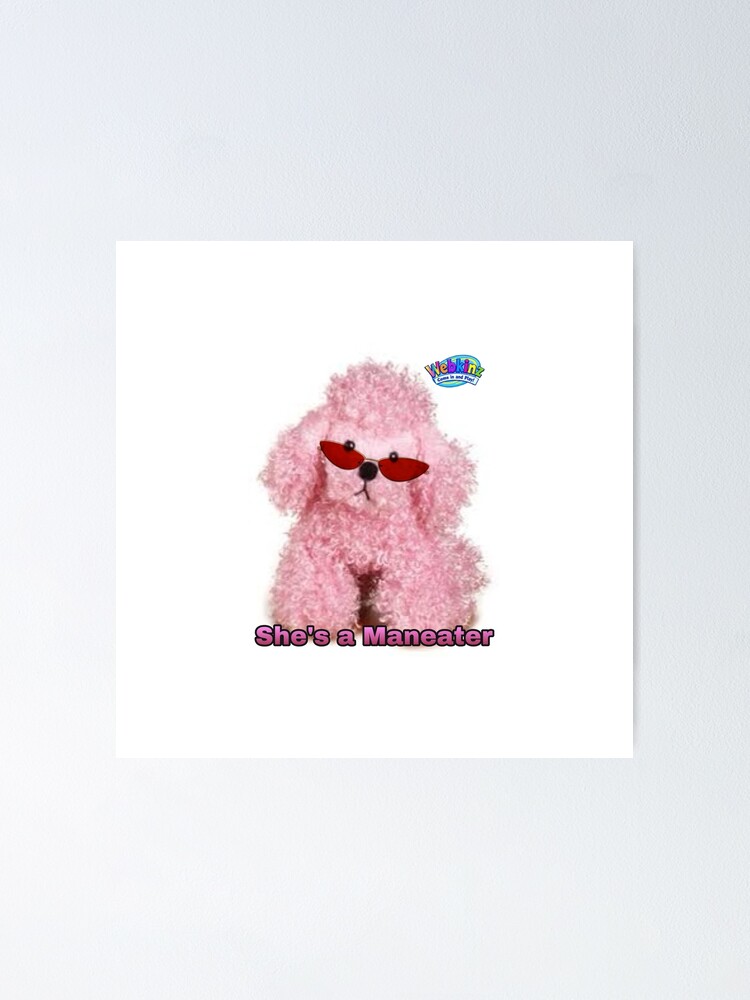 Webkinz hotsell pink poodle