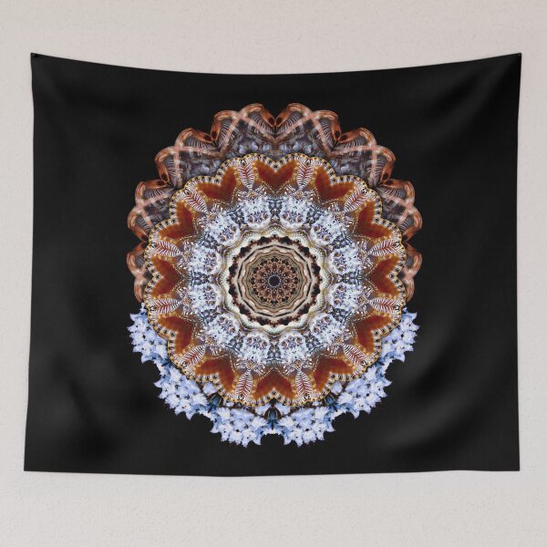 Item preview, Shell mandala, kaleidoscope, crazy pattern, ornament designed and sold by 1001karte.