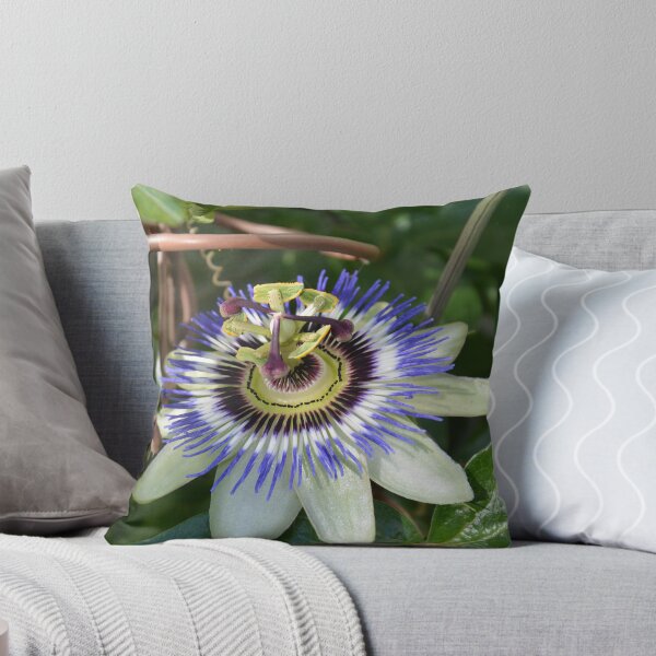 Artikelvorschau, The Passion Flower entworfen und verkauft von walstraasart.