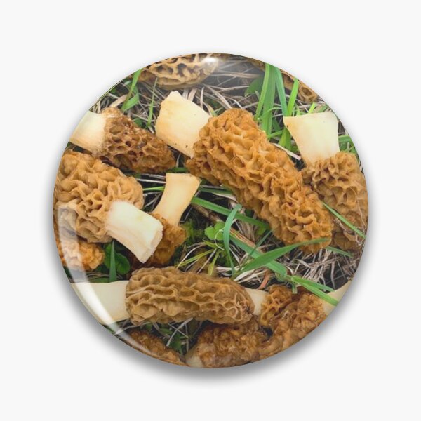 Item preview, Morel Mushrooms designed and sold by sd749.