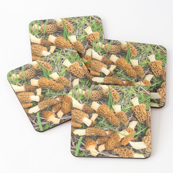 Item preview, Morel Mushrooms designed and sold by sd749.