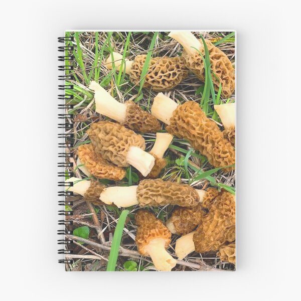 Item preview, Morel Mushrooms designed and sold by sd749.