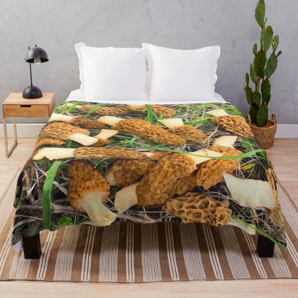 Item preview, Morel Mushrooms designed and sold by sd749.