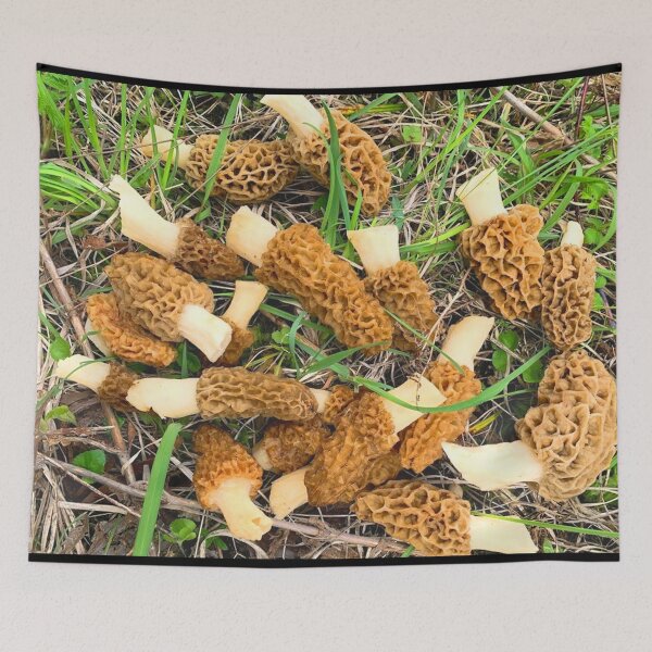 Item preview, Morel Mushrooms designed and sold by sd749.