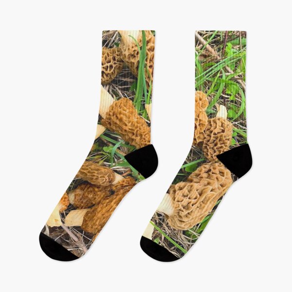 Item preview, Morel Mushrooms designed and sold by sd749.