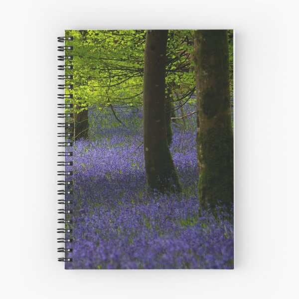 Item preview, Bluebells in Knockmany Forest designed and sold by Adrian McGlynn.