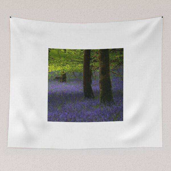 Item preview, Bluebells in Knockmany Forest designed and sold by Adrian McGlynn.