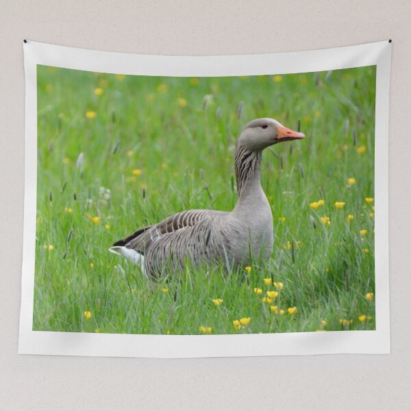 Item preview, A Wonderful Greylag Goose designed and sold by Karen Thomson.
