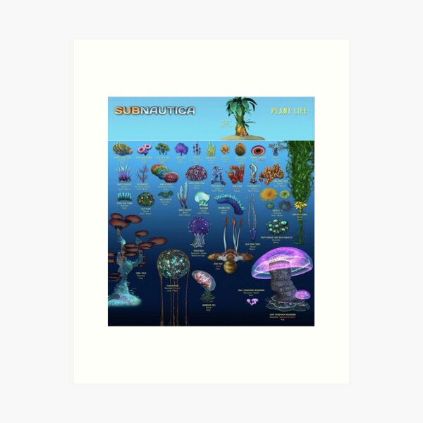 Aperçu de l'œuvre La vie végétale SUBNAUTICA créée et vendue par NoBox-Supreme.