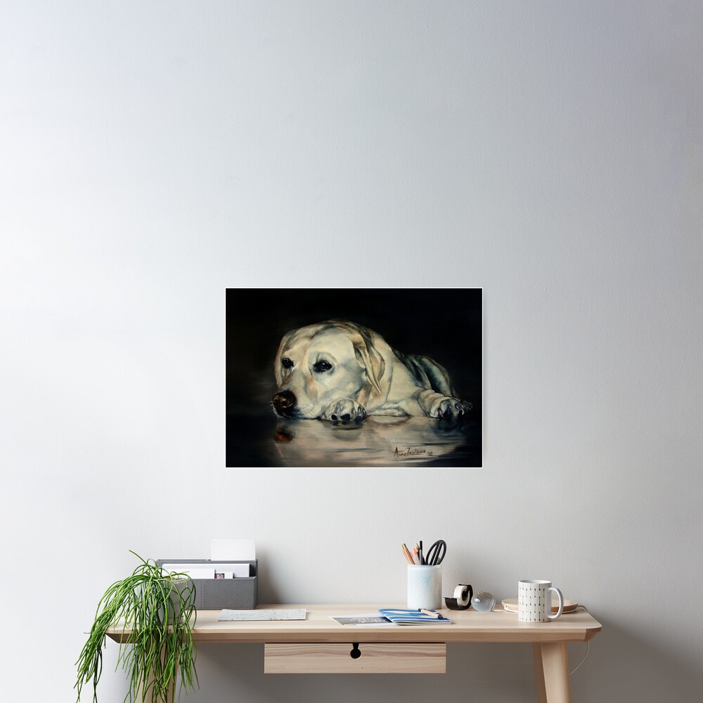 Yellow Labrador Poster