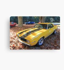 Camaro Canvas Print