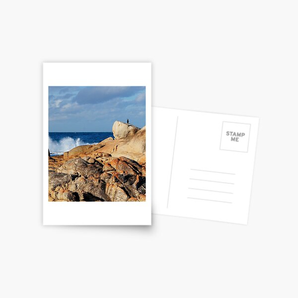 On Watch Postcard