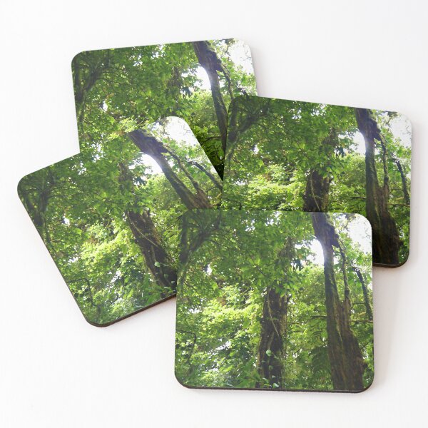 Item preview, Vibrant Green Tropical Rainforest, Costa Rica designed and sold by ACC .
