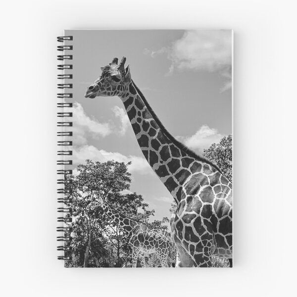 Aperçu de l'œuvre Amant de girafe B&W créée et vendue par CACTUSHOLLYWOOD.