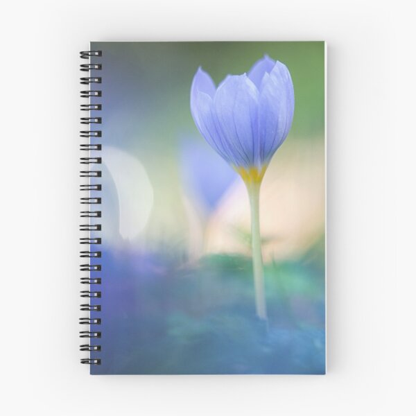 Item preview, Crocus designed and sold by Jill Ferry.