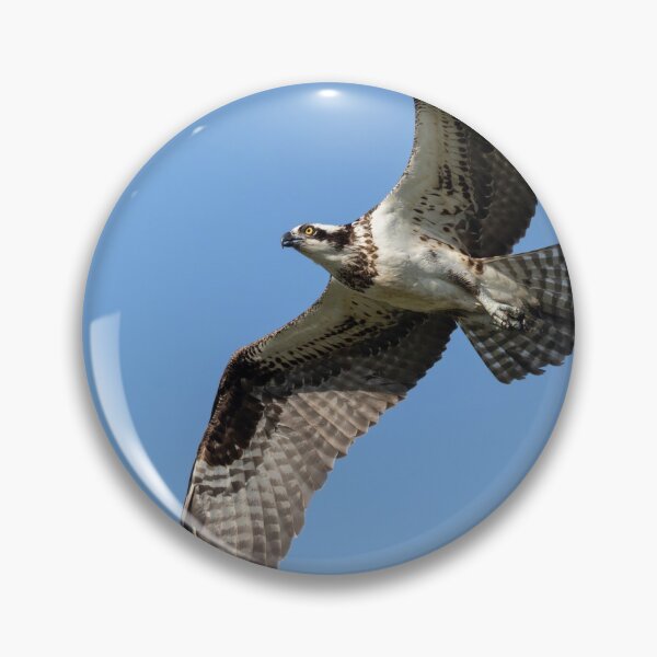 Item preview, Osprey 2021-1 designed and sold by Thomasyoung.