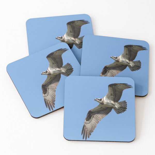 Item preview, Osprey 2021-1 designed and sold by Thomasyoung.
