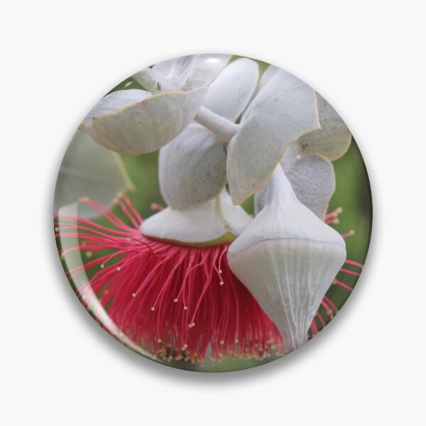 Item preview, Rose Mallee designed and sold by LeanneAllen.