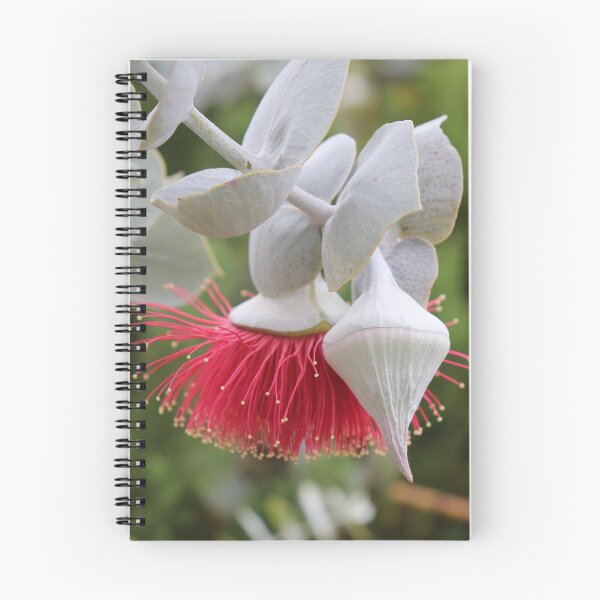 Item preview, Rose Mallee designed and sold by LeanneAllen.