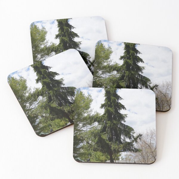 Item preview, tallest pine designed and sold by distracted.