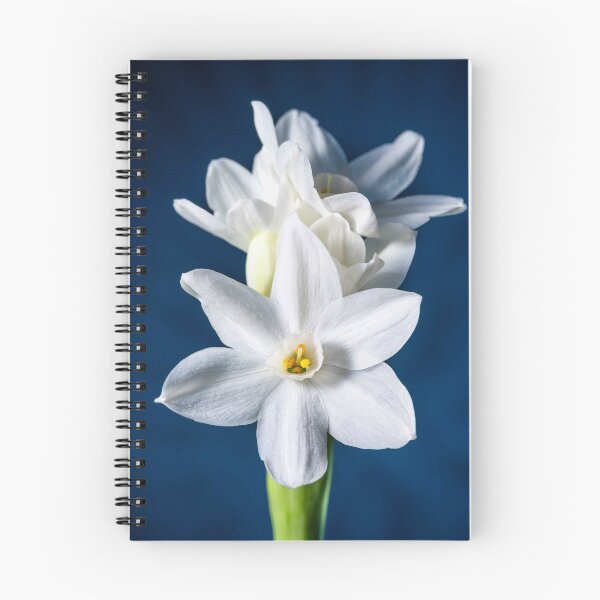 Item preview, Single White flower print designed and sold by Anamika Mehta.