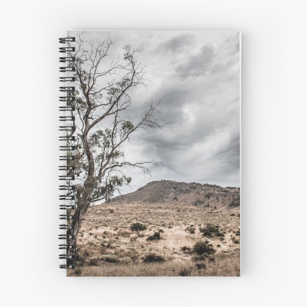 Item preview, Old Tree designed and sold by DVJPhotography.