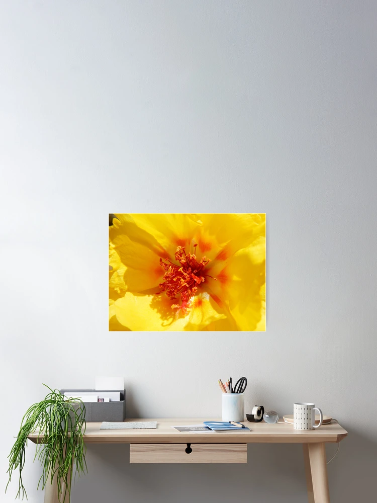Thumbnail 2 of 3, Poster, MOSS ROSE II designed and sold by Sandra Aguirre.