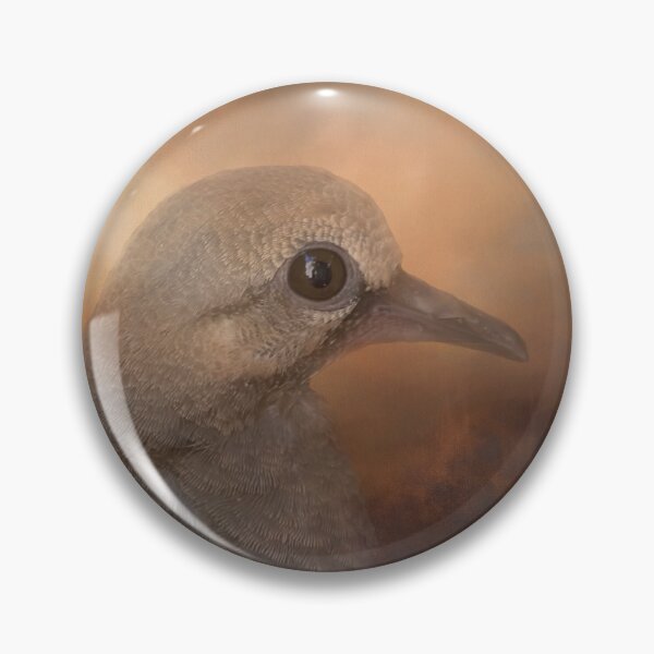Item preview, Young Mourning Dove designed and sold by Elisabeth Lucas.