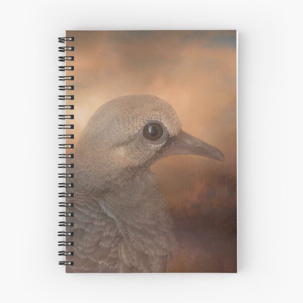 Item preview, Young Mourning Dove designed and sold by Elisabeth Lucas.