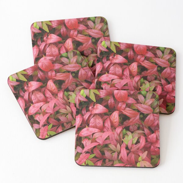 Item preview, Nandina domestica 'Nana' designed and sold by Amy Akers.